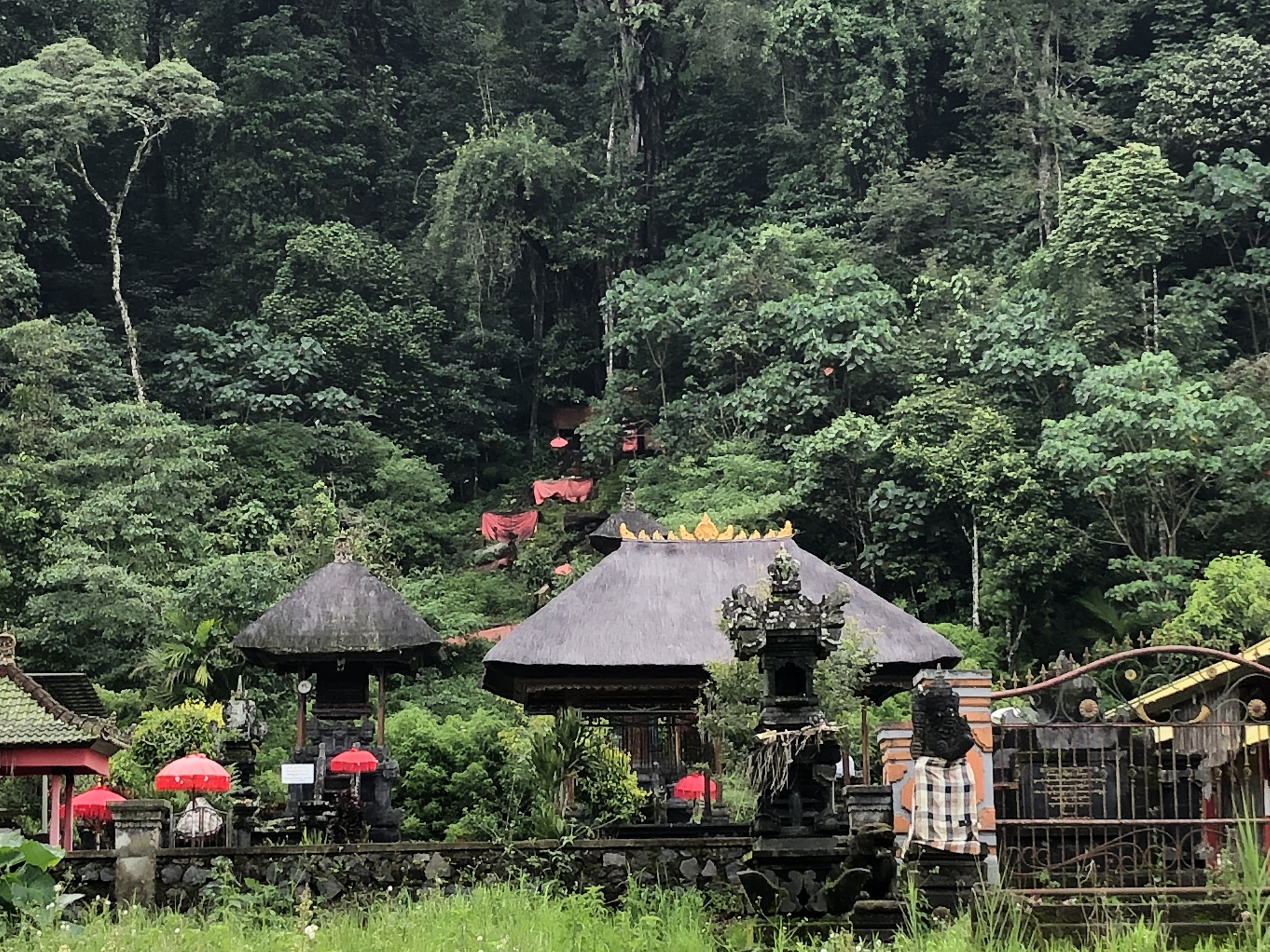  Bali  Jungle  Trek  Camping mindfulvanlife